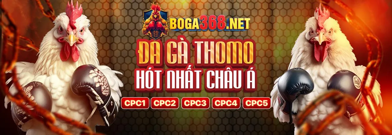 Tổng quan các tính năng chính của ok83865 link mới