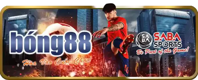 Biểu tượng hoàn trả cực cao